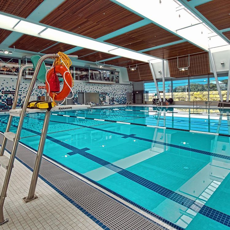 Pool illustration for The Meadows
