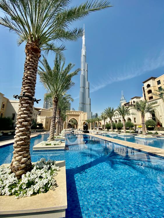 Pool illustration for Downtown Dubai