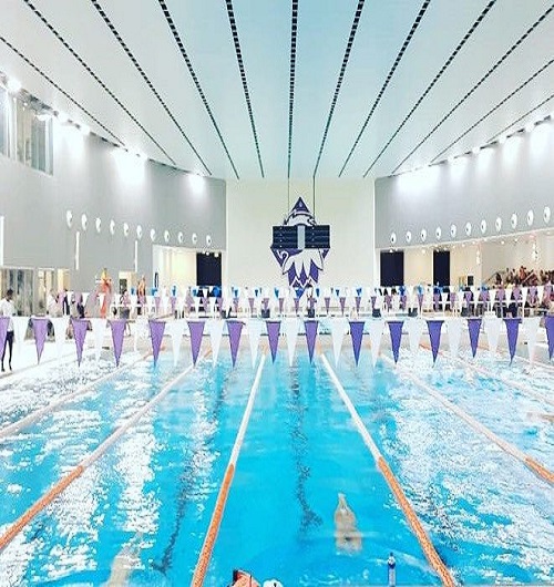 Pool illustration for Al Reef